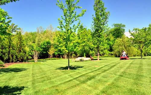 Landscape Installation Services for Homes and Businesses near me Green Bay Wisconsin